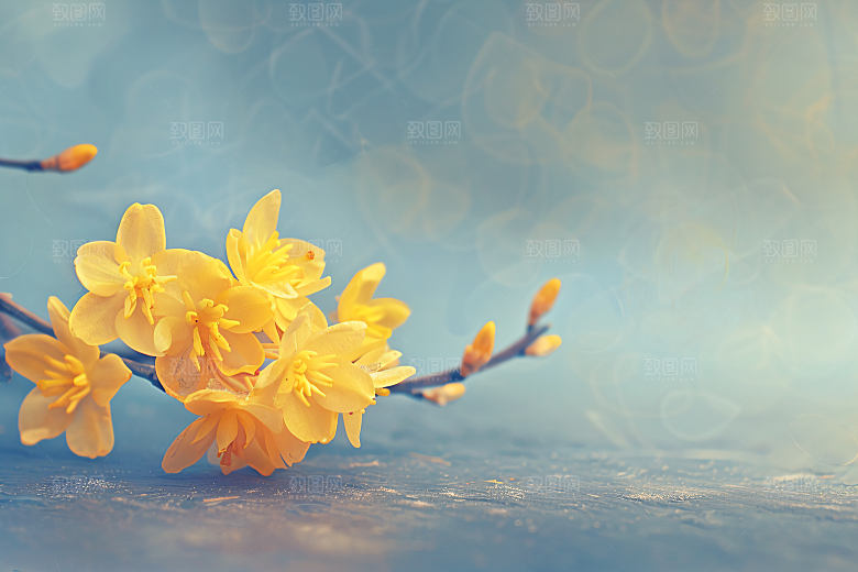 桂花初秋秋季摄影图