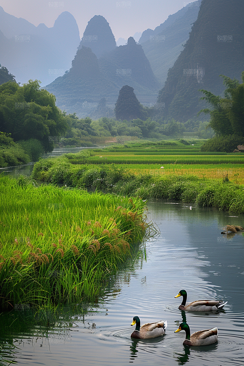桂林山水自然旅行摄影图