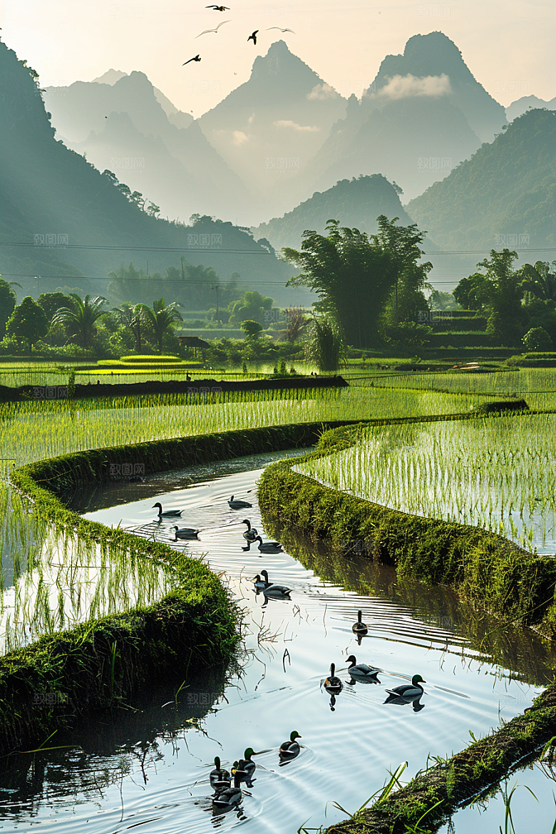 桂林山水阳朔旅游摄影图