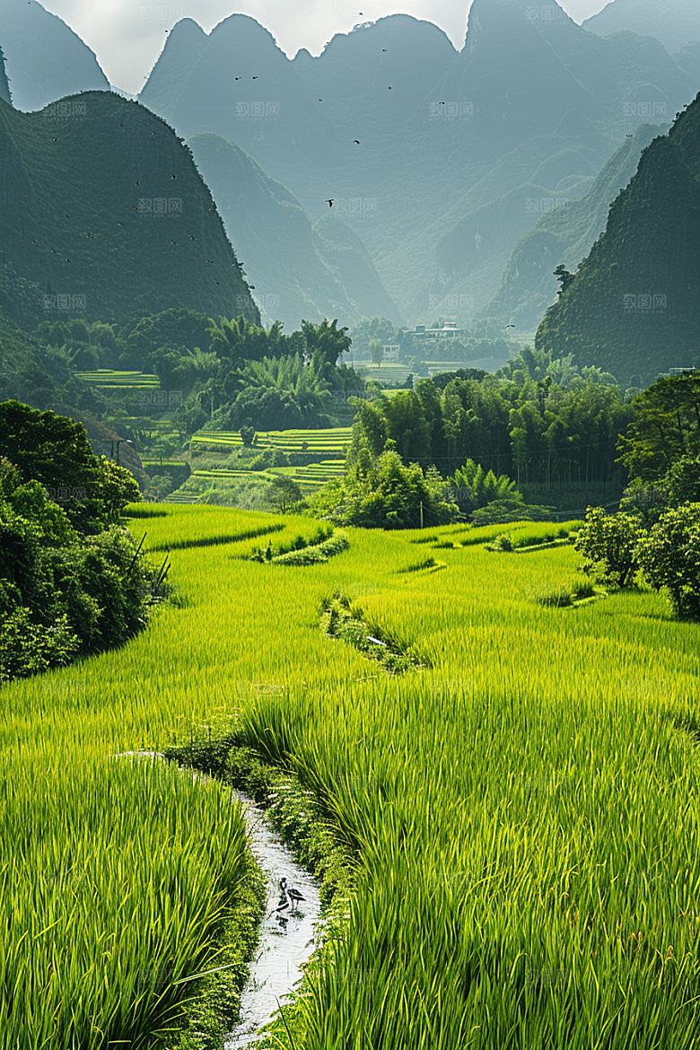 桂林山水风光精致摄影图