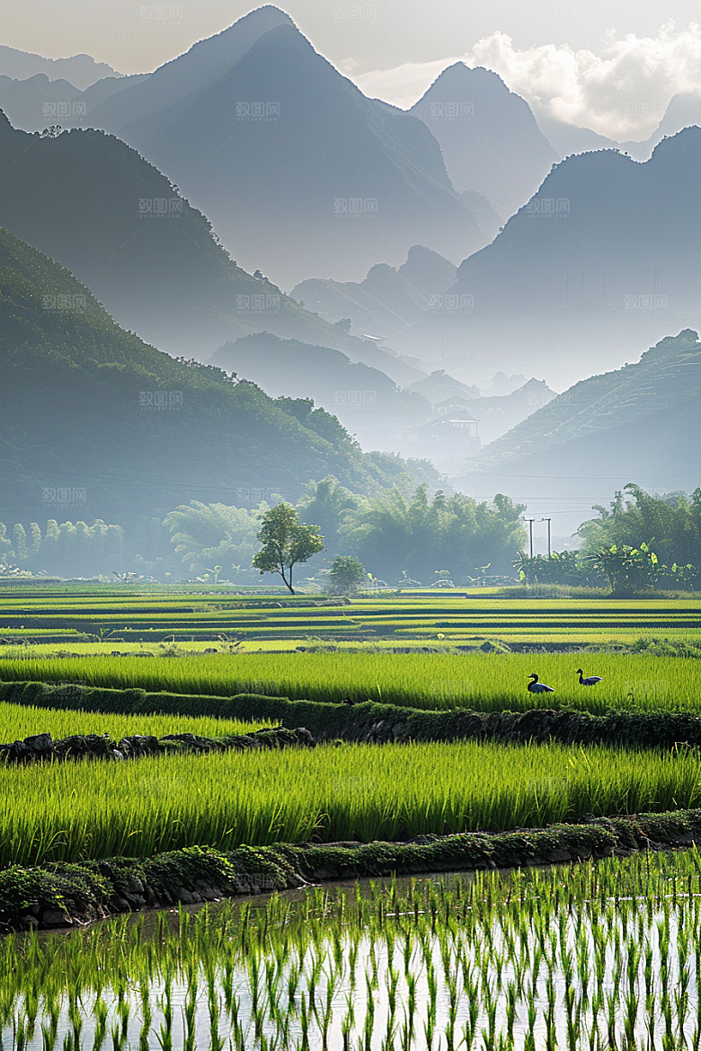 桂林山水大气旅行摄影图