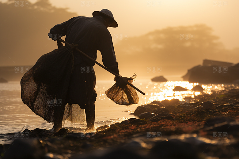 海边赶海海滩海货摄影图