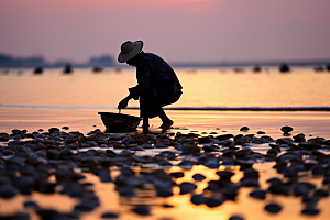 海边赶海海货海滩摄影图
