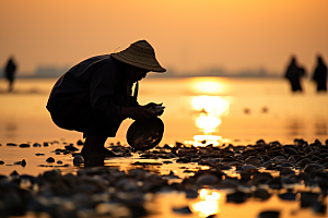 海边赶海清晨落潮摄影图
