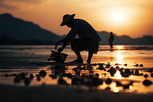 海边赶海清晨海货摄影图