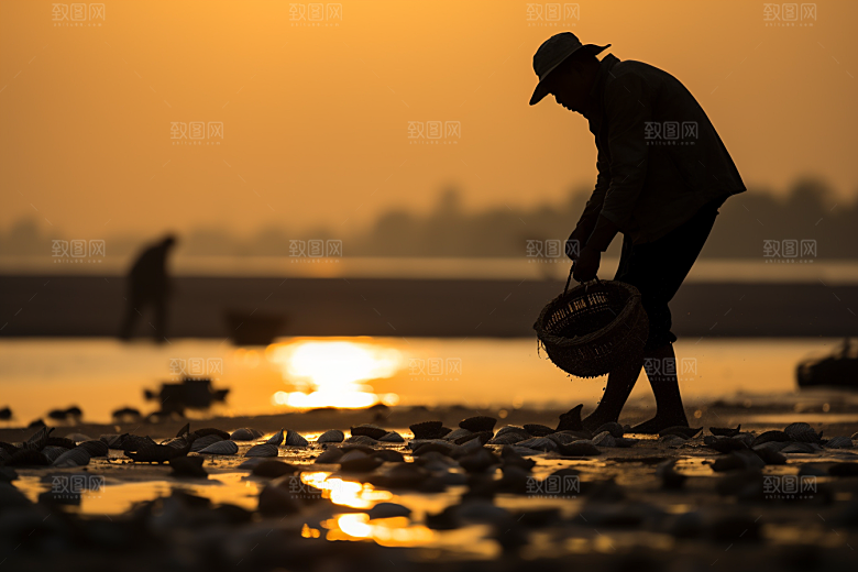 海边赶海捕捞余晖摄影图