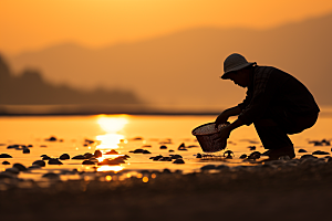 海边赶海落日渔获摄影图