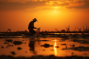 海边赶海高清夕阳摄影图