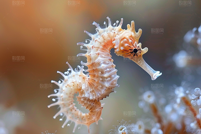海马环保大海素材