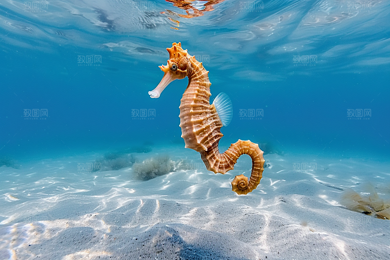 海马环保保护环境素材
