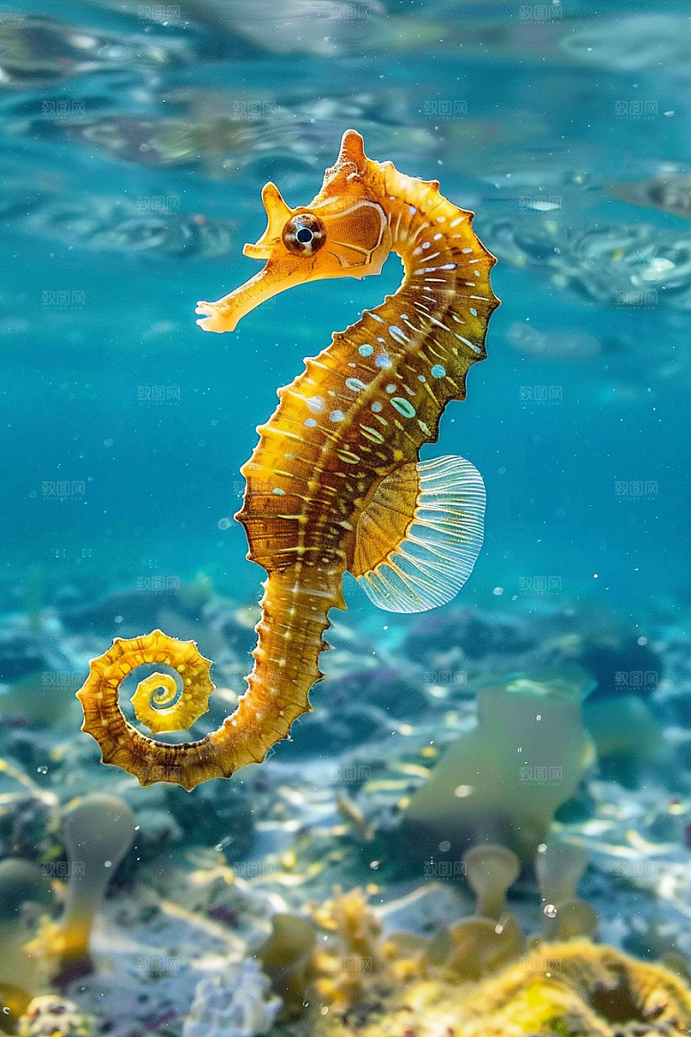 海马自然环保素材
