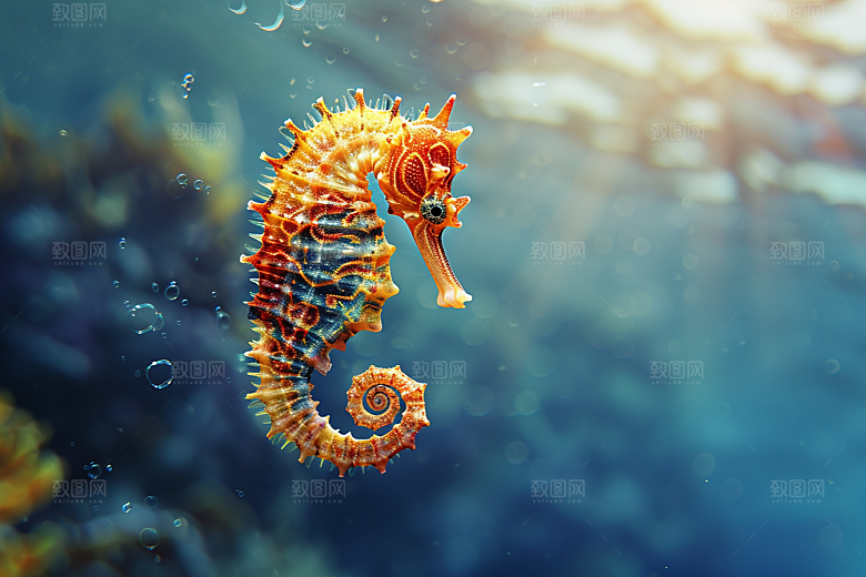 海马高清自然素材