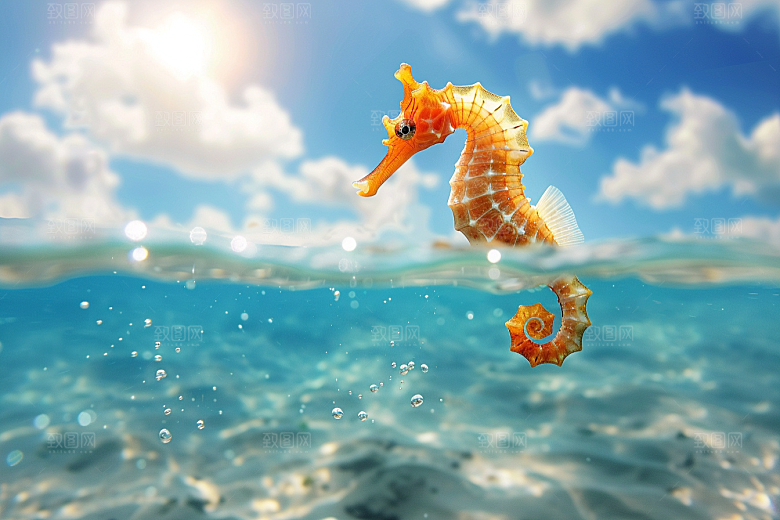 海马生态自然素材