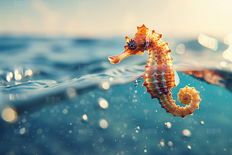 海马高清大海素材
