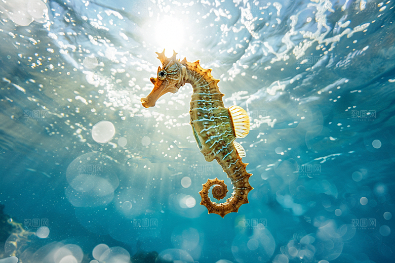 海马生态环保素材