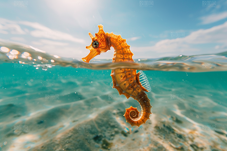海马海底环保素材