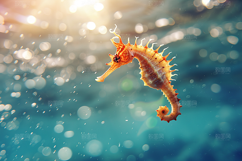 海马自然环保素材