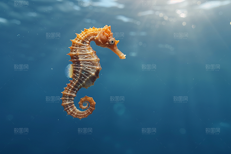 海马高清保护环境素材