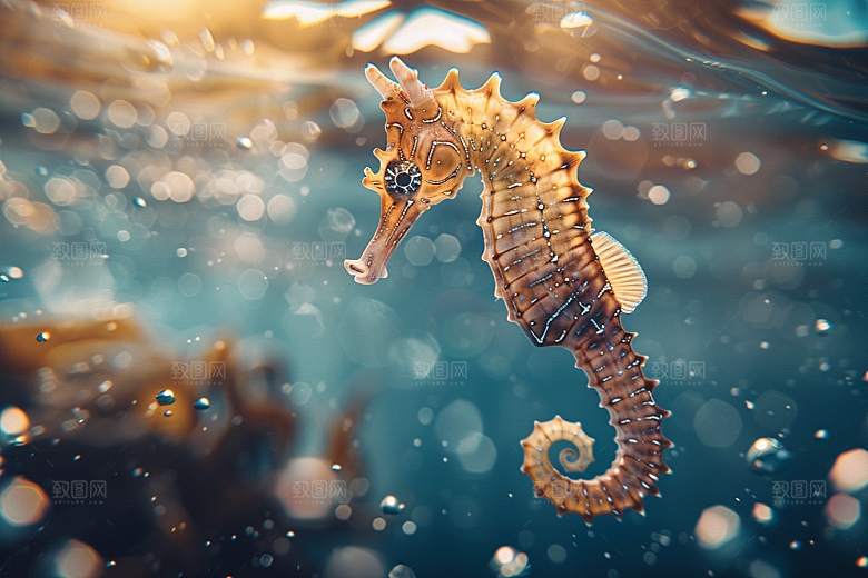 海马自然大海素材
