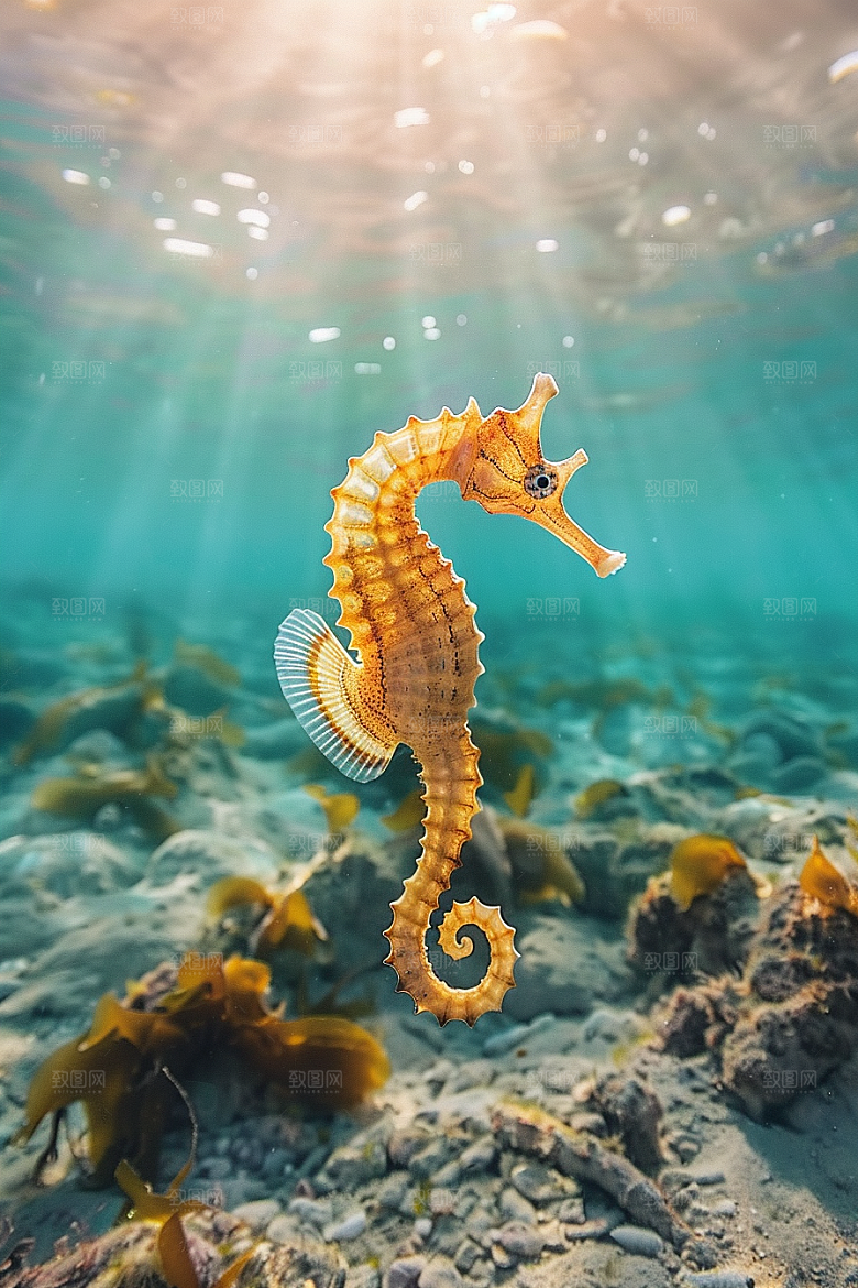 海马环保保护环境素材