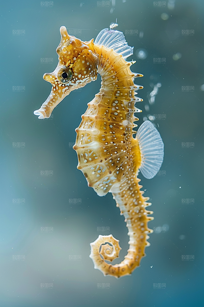 海马环保保护环境素材