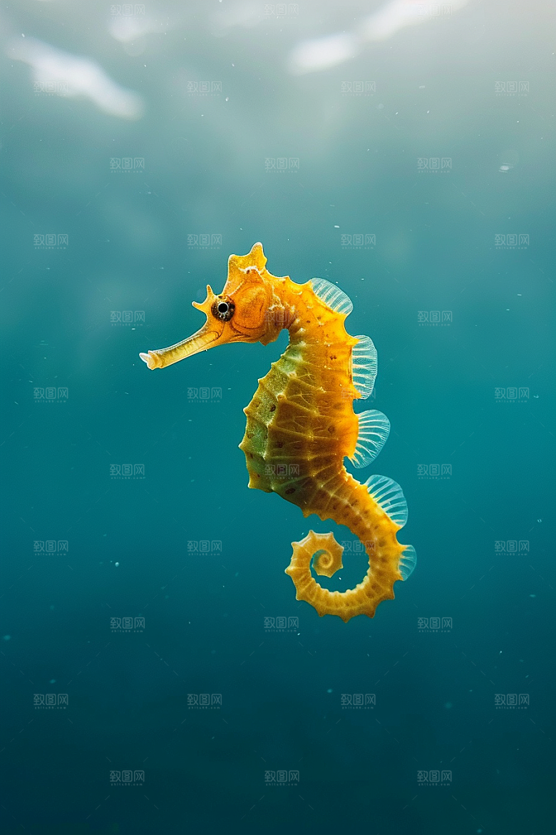 海马自然环保素材