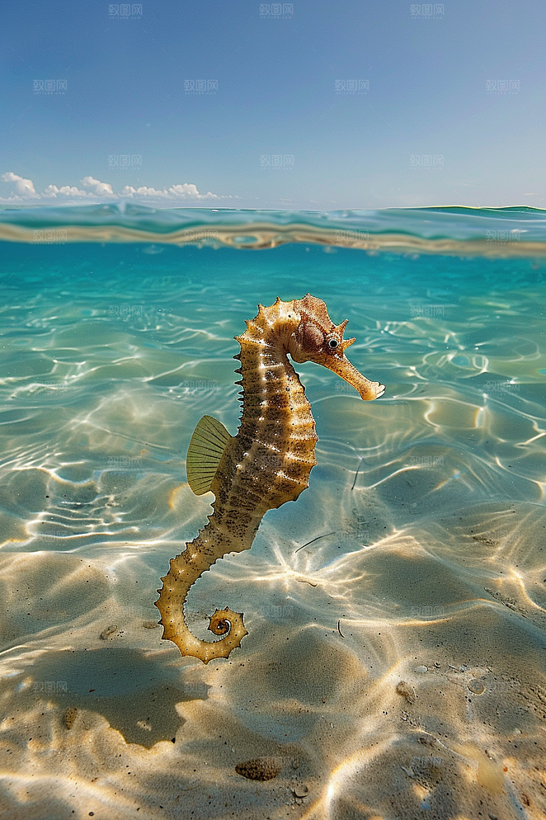 海马环保自然素材