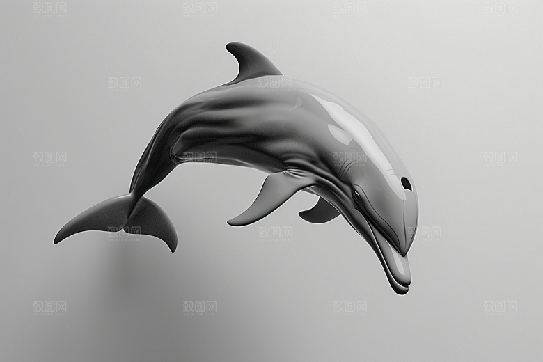 海豚高清游泳素材