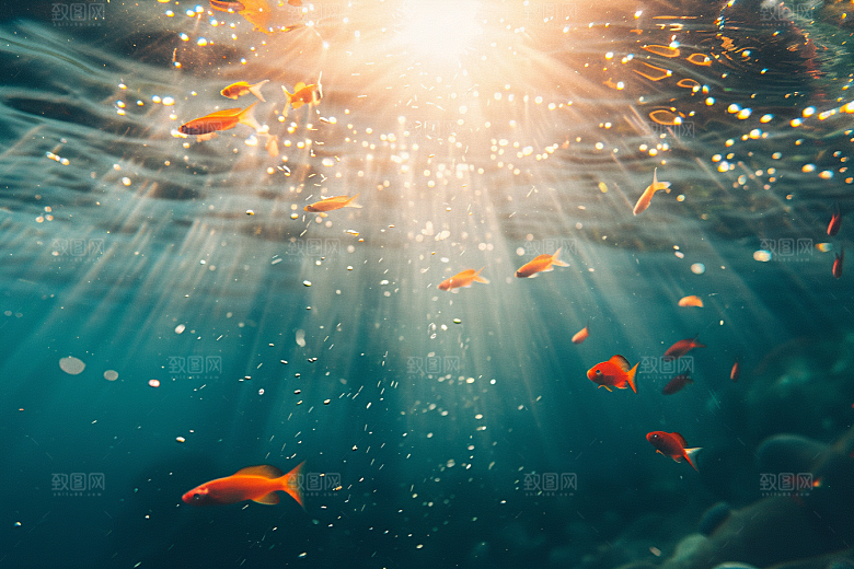 海洋鱼类海水热带鱼摄影图