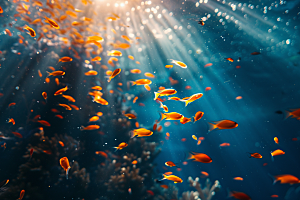 海洋鱼类海水缤纷摄影图