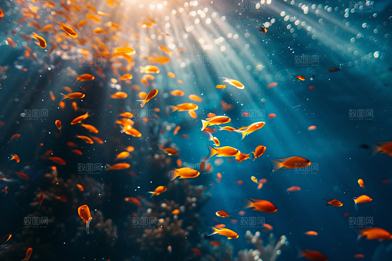 海洋鱼类海水缤纷摄影图