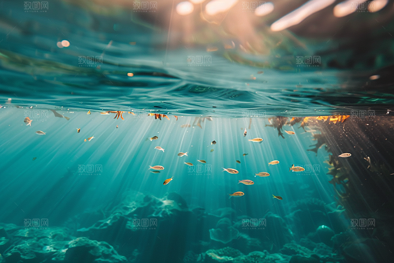海洋鱼类鱼群热带鱼摄影图