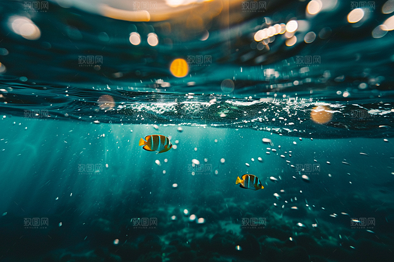 海洋鱼类海水彩色摄影图