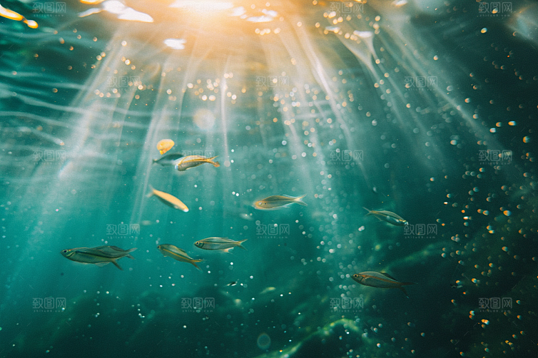 海洋鱼类海鱼海底世界摄影图