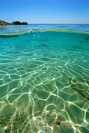 海洋鱼类海水鱼群摄影图