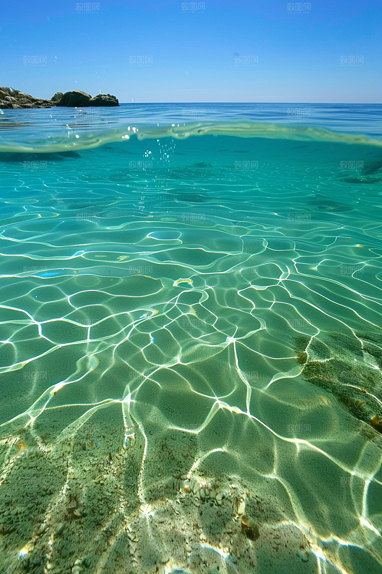 海洋鱼类海水鱼群摄影图