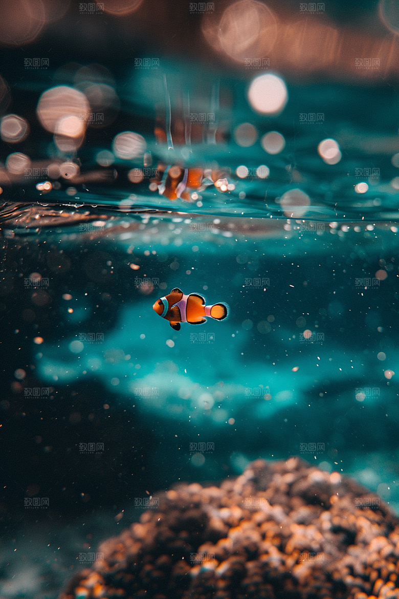 海洋鱼类自然大海摄影图