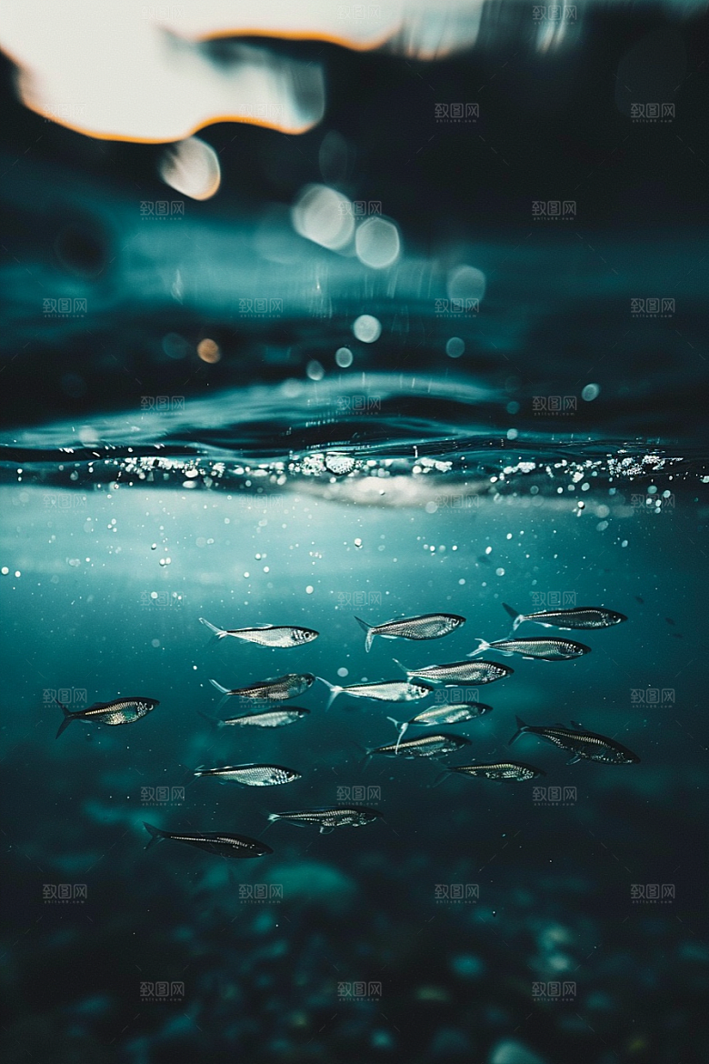 海洋鱼类珊瑚礁彩色摄影图