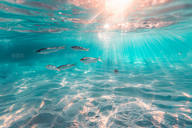 海洋鱼类海鱼缤纷摄影图