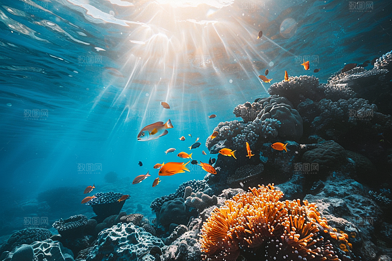 海洋鱼类海底世界环保摄影图