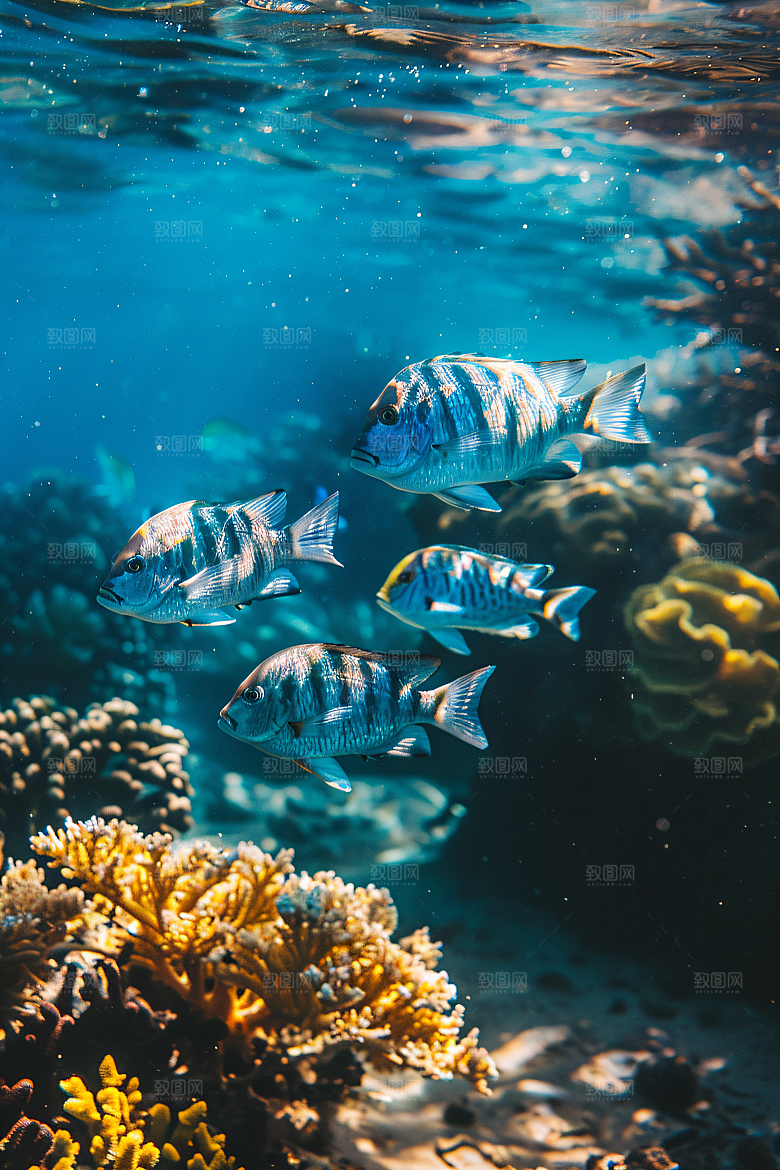 海洋鱼类海底世界缤纷素材