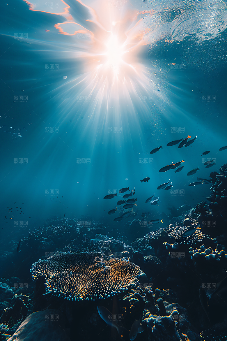 海洋鱼类珊瑚礁海底世界素材