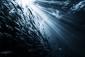海洋鱼类热带鱼环保素材