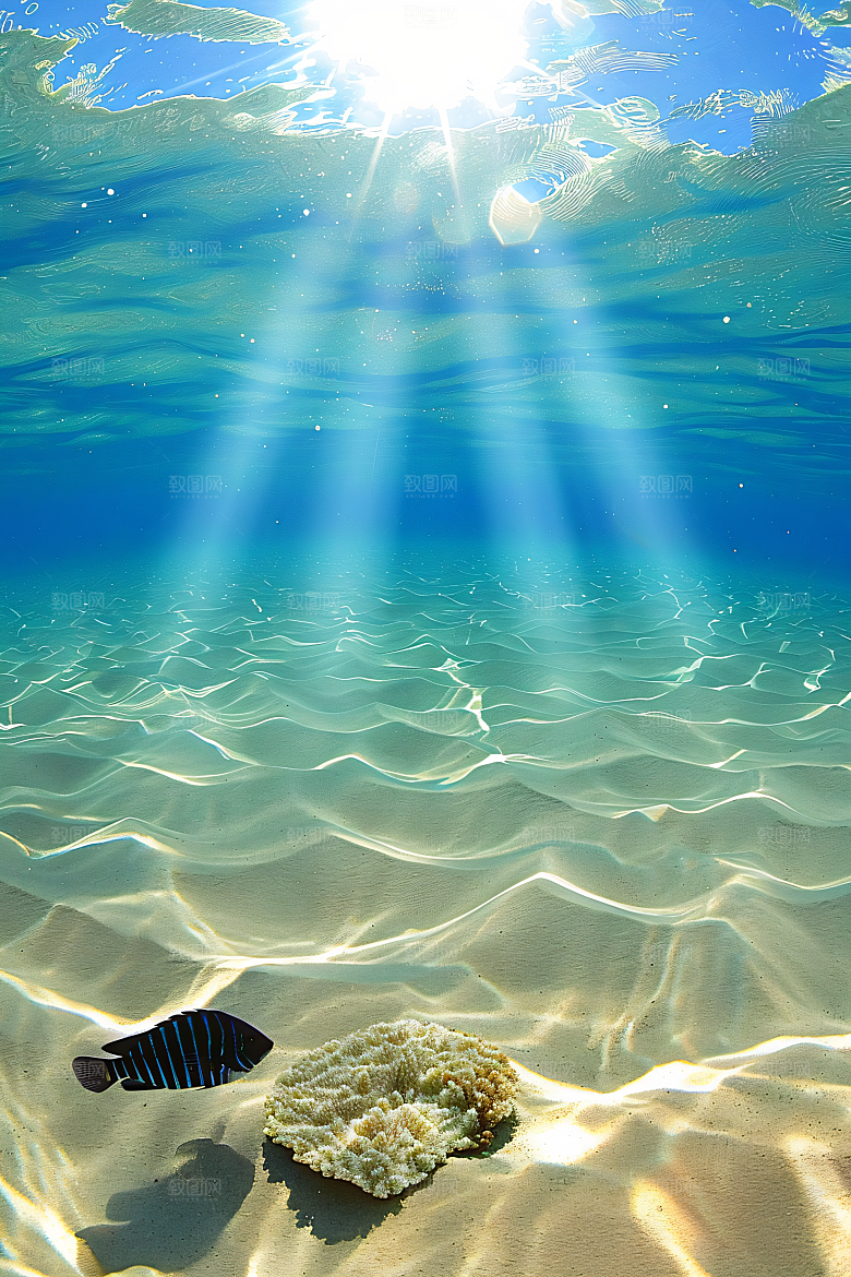 海洋鱼类摄影浮潜素材