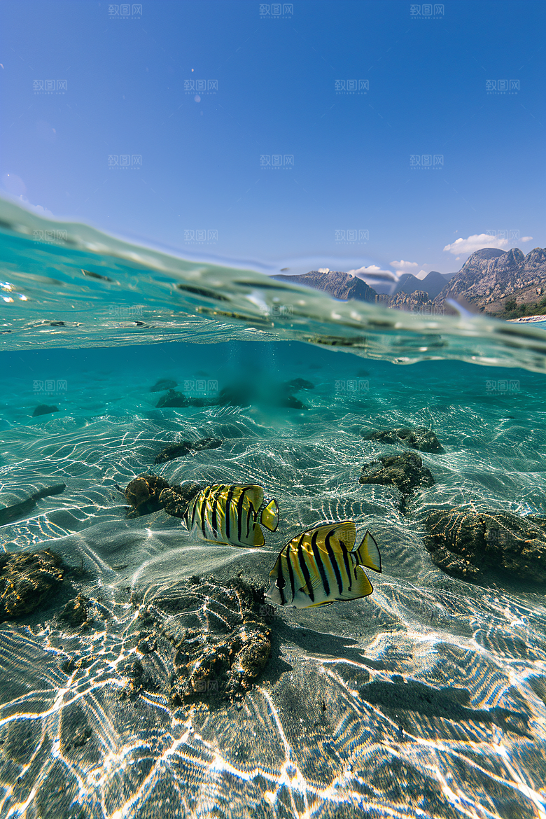 海洋鱼类海水浮潜素材