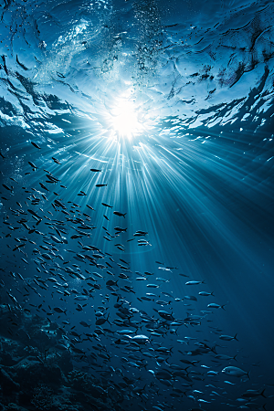 海洋鱼类海底世界鱼群素材