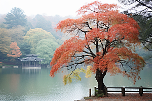 杭州城市风光旅行景点摄影图