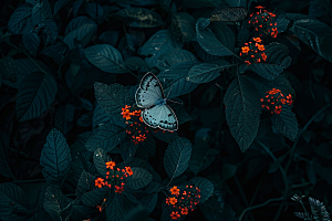 蝴蝶春季花卉摄影图