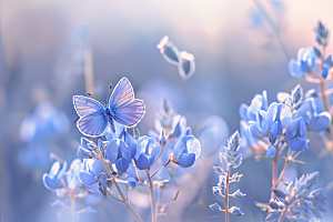 蝴蝶清新花朵摄影图