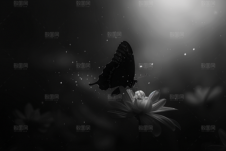 蝴蝶花朵自然摄影图